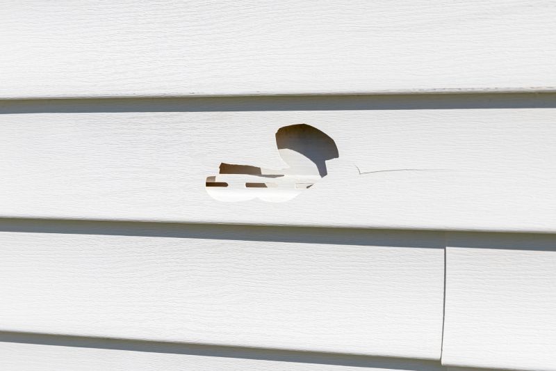 Expert Vinyl Siding Repair
