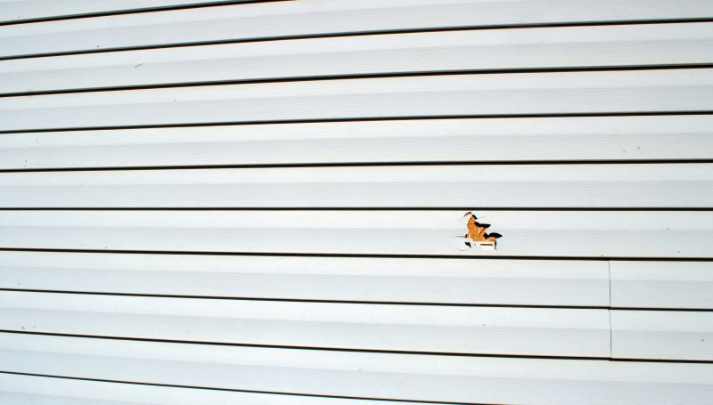 Weathered Vinyl Siding Fix